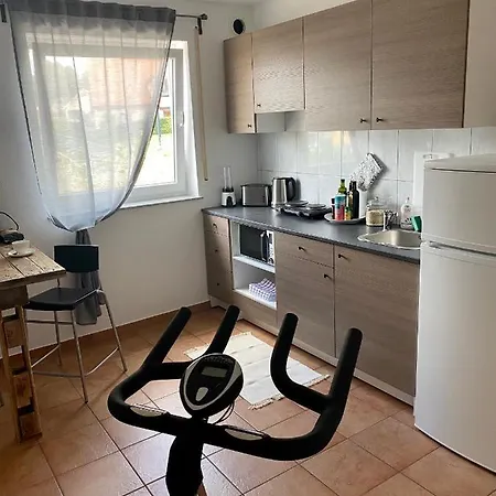 Apartment Steigerwaldblick *